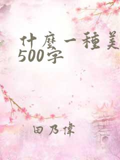 什么一种美作文500字