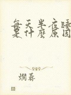 每天半夜睡不着是什么原因