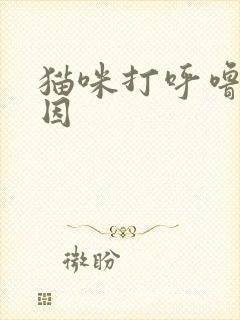 猫咪打呼噜的原因