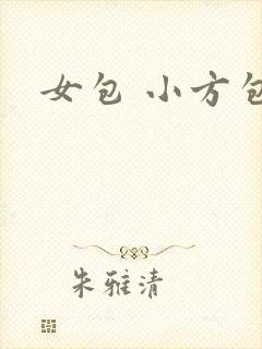 女包 小方包