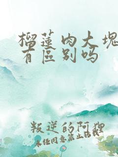 榴莲肉大块小块有区别吗