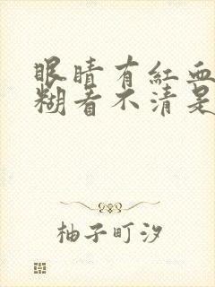 眼睛有红血丝模糊看不清是怎么回事