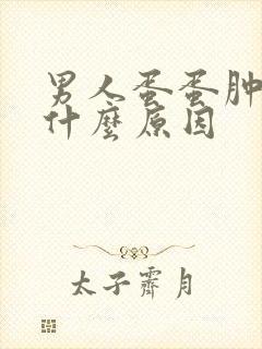 男人蛋蛋肿疼是什么原因