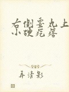 右侧睾丸上有个小硬疙瘩