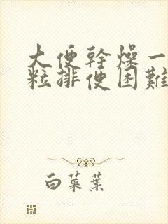 大便干燥一粒一粒排便困难