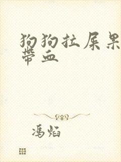 狗狗拉屎果冻状带血