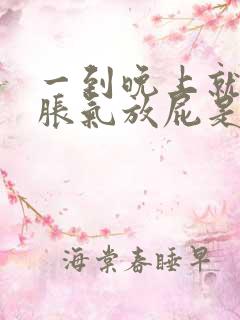 一到晚上就肚子胀气放屁是什么原因