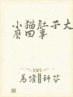 小猫肚子大是怎么回事