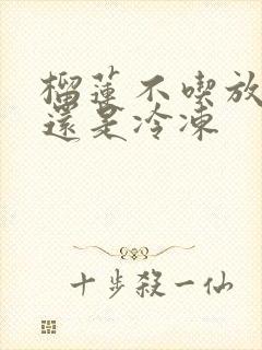 榴莲不吃放冷藏还是冷冻