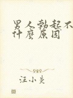 男人勃起不坚是什么原因