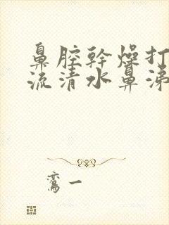 鼻腔干燥打喷嚏流清水鼻涕