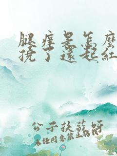 腿痒是怎么回事挠了还起红疙瘩