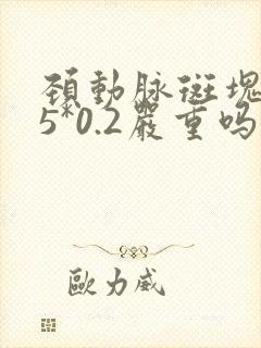 颈动脉斑块0.5*0.2严重吗