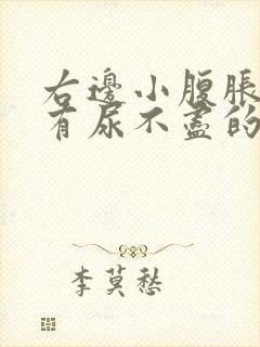 右边小腹胀痛总有尿不尽的感觉什么原因