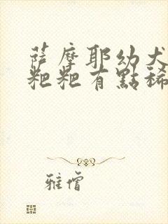 萨摩耶幼犬拉的粑粑有点稀怎么回事