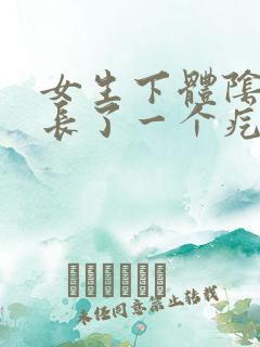 女生下体阴唇上长了一个疙瘩