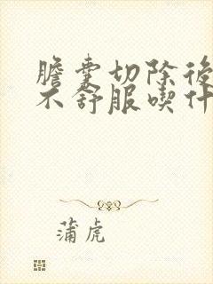 胆囊切除后胃部不舒服吃什么药