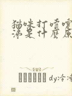 猫咪打喷嚏流鼻涕是什么原因