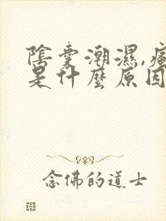 阴囊潮湿,瘙痒是什么原因造成的