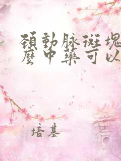 颈动脉斑块吃什么中药可以消除