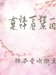 女性下体一直湿是什么原因