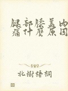 腿部膝盖内侧疼痛什么原因