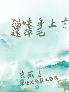 猫咪身上有皮屑还掉毛