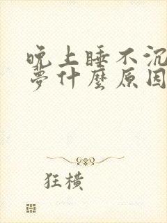 晚上睡不沉老做梦什么原因