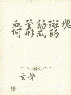 血管的斑块是如何形成的