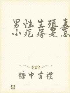 男性生殖表皮有小疙瘩是怎么回事儿