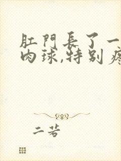 肛门长了一个硬肉球,特别疼