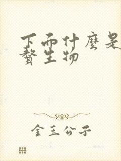 下面什么是外阴赘生物