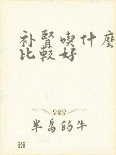 补肾吃什么食品比较好