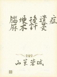 脑埂后遗症半身麻木针灸