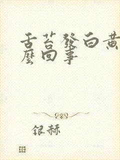 舌苔发白黄厚怎么回事