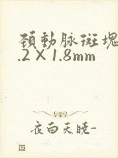 颈动脉斑块10.2×1.8mm