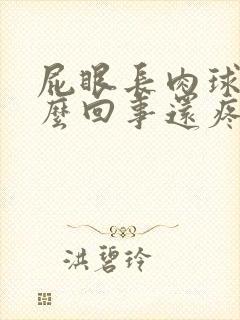 屁眼长肉球是怎么回事还疼