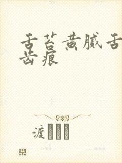 舌苔黄腻舌边有齿痕