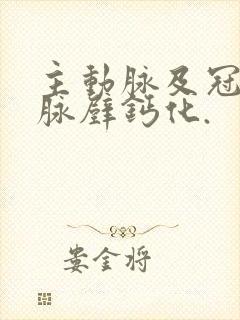 主动脉及冠状动脉壁钙化.