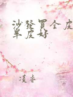 沙发买全皮还是半皮好