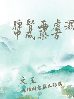 脾肾两虚湿气重中成药方