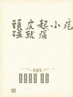 头皮起小疙瘩一碰就痛