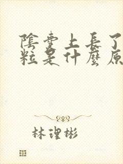 阴囊上长了小肉粒是什么原因