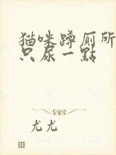 猫咪蹲厕所很久只尿一点