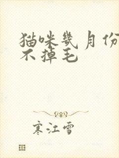 猫咪几月份开始不掉毛