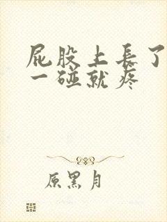 屁股上长了疙瘩一碰就疼