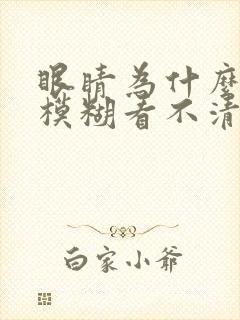 眼睛为什么干涩模糊看不清