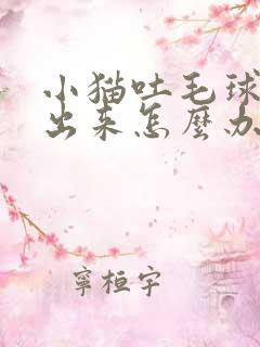 小猫吐毛球吐不出来怎么办