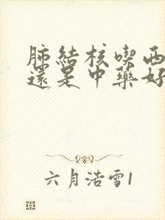 肺结核吃西药好还是中药好