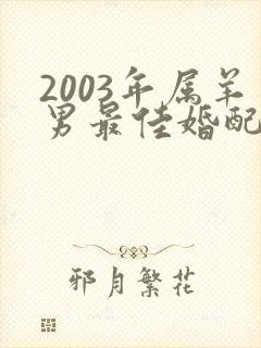 2003年属羊男最佳婚配年龄